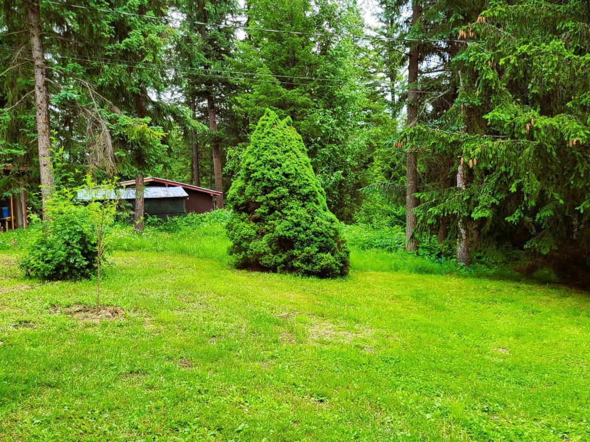 Woodcrest Bed And Breakfast Clearwater Luaran gambar